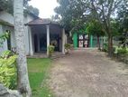 House and Saloon for Sale in Kandana