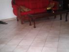 house available for sale