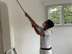 House/Building Painting