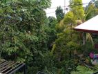 House for rent at Peradeniya Eraea