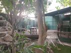 House For Rent Facing Pagoda Road Pitakotte [ 2206C ]