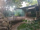 House For Rent Faing Pagoda Road Pitakotte [ 2206C ]
