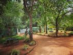 House for Rent Anuradhapura
