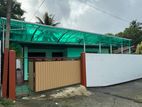 House for rent