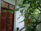House for Rent - Galle