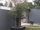 House for Rent in Battaramulla (File No 2390A/1)B