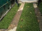 House for Rent in Battaramulla (file Number 460 B)