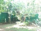 House for Rent in Battaramulla (file Number 460 B)