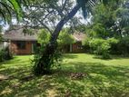 House For Rent In Colombo 5 with 32P Land