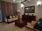 House for Rent in Colombo 7