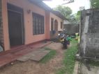 House for rent in dehiwala