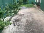 House For Rent In Dehiwala (SA4226)