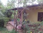 House for Rent in Delgoda , Gampaha