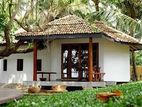 House for Rent in Ja-Ela