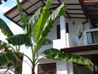House for rent in Kadawatha
