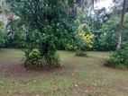 House for Rent in Kiribathgoda