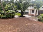 House for Rent in Maharagama with Large Garden and Ample Parking Space