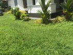 House for Rent in Manavila