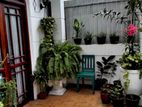 House for Rent in Nugegoda