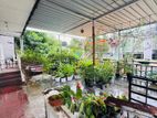 House for rent in nugegoda