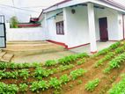 House for Rent in Nuwara Eliya
