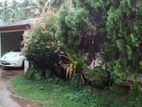 House for Rent in Panadura