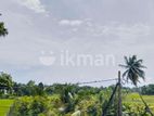 House for Rent in Pannipitiya( FILE NO 5538B)