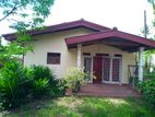 House for Rent in Piliyandala