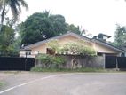House for Rent in Piliyandala