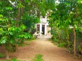 House for Rent in Ragama