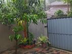 House for Rent in Ratnapura City