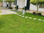 House for rent in Sri Jayawardhanapua- REF 49