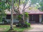 House for rent ja-ela Gampaha