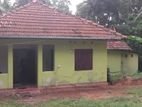 House for Rent Kadawatha