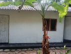 House for Rent kandana