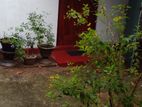 House for rent - Moragahena