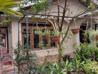 House for Rent Nugathalawa