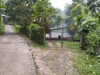 House For Rent - Peradeniya