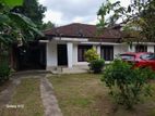 House for Rent - Pugoda