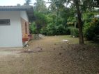 House for Rent with Large Garden in Bellanwilla