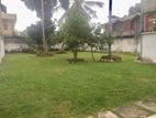 House for Rent with Large Garden Nadimala Dehiwala [ 2290 C ]