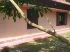 House for Sale Bollatha Ganemulla