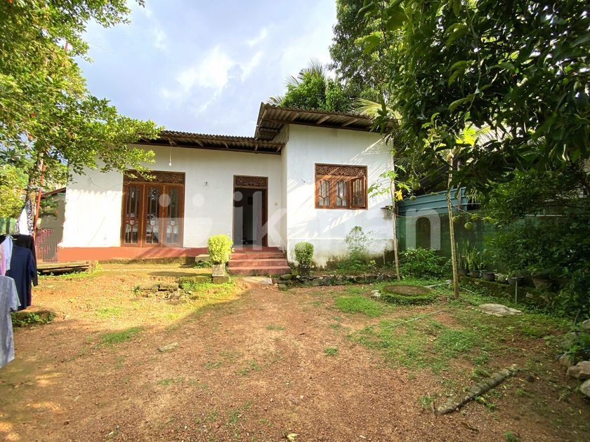 House For Sale Ganemulla Town Dutugamunu Rd ikman