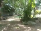House For Sale in Aluthgama