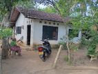 House for Sale in Anamaduwa