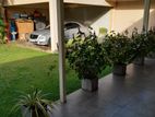 House For Sale In Colombo 06 - 3414U