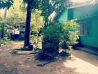 House for sale in Dehiwala ( Attidiya)