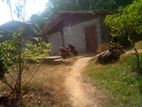 House for Sale in Delgoda Lunugama