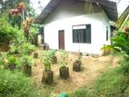 House For Sale in Galle