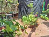 House for Sale in Galvihara Road Dehiwala